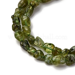 Natürlichen Peridot Perlen Stränge&nbsp;G-I389-A27