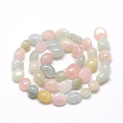 Fili di perline morganite naturale&nbsp;G-R445-6x8-28