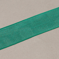 Ruban d'organza de nylon&nbsp;ORIB-R018-20mm-280