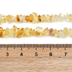 Glas-Chip-Perlen-Stränge&nbsp;G-B160-A01