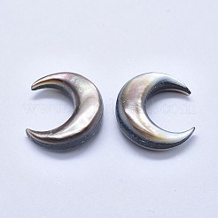 Natürliche schwarze Lippe Shell Cabochons&nbsp;X-SSHEL-P015-80B-20mm