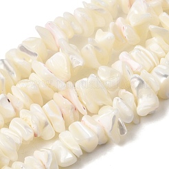 Natürliche weiße Perlmuttschalen-Chipperlenstränge&nbsp;X-G-M205-63