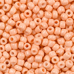 8/0 Backfarbe Glasperlen&nbsp;SEED-R051-07B-06