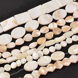 Chapelets de perles de coquille de mer de forme mixte naturelle, 8~20x8~15x3mm, Trou: 1mm, environ 15 pouce ~ 15.7 pouces