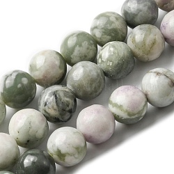 Natürliche Frieden Jade Perlen Stränge, Runde, 8~8.5 mm, Bohrung: 1.2 mm, ca. 47 Stk. / Strang, 14.76'' (37.5 cm)