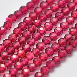 Perline gemma sintetica fili, imitazione rubino, sfaccettato, tondo, camelia, 2.5mm, Foro: 0.5 mm, circa 150pcs/filo, 15 pollice