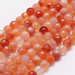 Natürlichen Karneol-Perlen Stränge, facettiert, Runde, 6 mm, Bohrung: 1 mm, ca. 61 Stk. / Strang, 14.9 Zoll ~ 15.1 Zoll