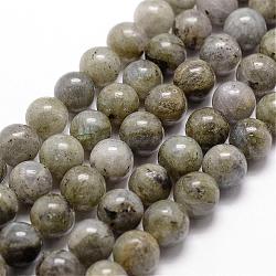 Chapelets de perles en labradorite naturelle, ronde, 8mm, Trou: 1mm, Environ 44 pcs/chapelet, 14.9 pouce ~ 15.1 pouces