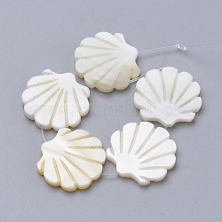 Shell perle naturali di acqua dolce, forma di capesante, bianco crema, 15x15.5x2.5mm, Foro: 1 mm