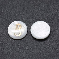 Cabochons de concha, con resina, plana redonda con el alfabeto árabe, blanco, 12~12.5x2~2.5mm