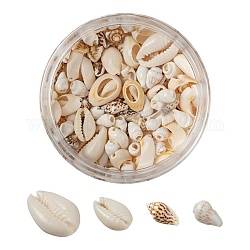 4 style perles de coquillages cauris mélangés naturels, coquillage cauris & coquillage trompette & coquillages spirale perles, couleur mixte, 206 pcs / boîte