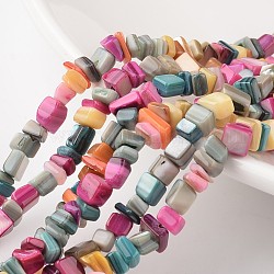Nuggets Natural Dyed Shell Bead Strands, Colorful, 4~6x8~12x2~4mm, Hole: 1mm, about 34.6inch