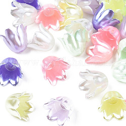 Pintura en aerosol plástico abs perlas de imitación, flor, color mezclado, 10x11x8.5mm, agujero: 1.4 mm