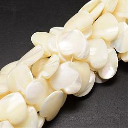 Fili di perle di conchiglia trochid naturale / trochus, cuore, bianco crema, 18~19x18~19x4~6mm, Foro: 1 mm, circa 21pcs/filo, 15.35 pollice
