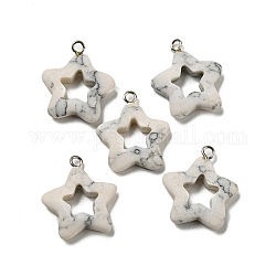 Синтетические бирюзовые подвески, Подвески-звезды с железными петлями платинового цвета, серый, 21~21.5x18~19x4~4.5 мм, отверстие : 1.8~2 мм.