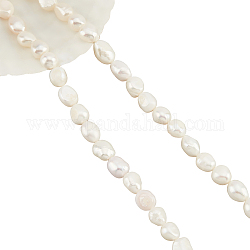Nbeads perla barroca natural perlas keshi hebras, perla cultivada de agua dulce, pepitas, color de concha, 7~8mm, agujero: 0.8 mm, aproximamente 46~48 pcs / cadena, 13.77 pulgada ~ 14.17 pulgadas, 2 hebras / caja