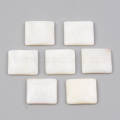 Cabochons naturels d'eau douce&nbsp;LS-SHEL-R049-019-1