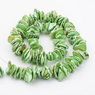 Chapelets de perles en coquillage naturel&nbsp;BSHE-P010-05-1