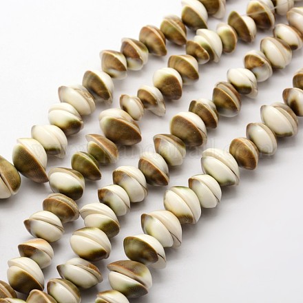 Chapelets de perles de coquillage naturel SHEL-E355-22-1