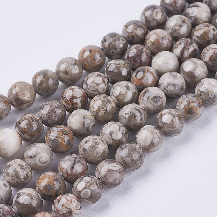 Chapelets de perles maifanite/maifan naturel pierre  X-G-I187-8mm-01-1