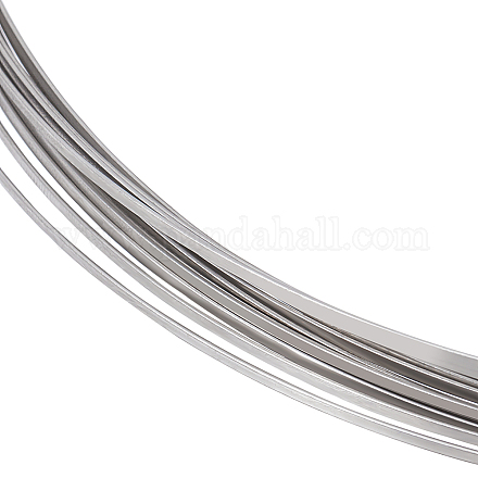 ステンレス鋼線  フラット  ステンレス鋼色  1.6x0.5mm  約22.97フィート（7m）/ロール CHS-WH0010-01A-1