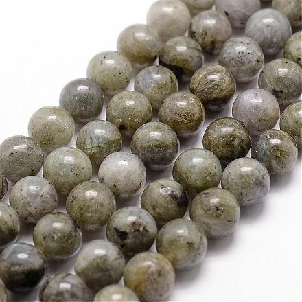 Chapelets de perles en labradorite naturelle G-D840-64-8mm-1