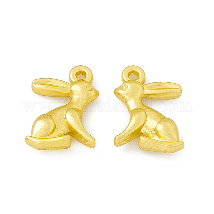 Rack Plating Alloy Charms FIND-G045-30MG-1