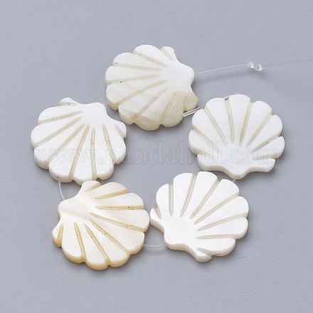 Shell perle naturali di acqua dolce X-SHEL-T007-02-1