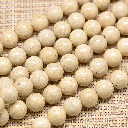 Natural Fossil Round Beads Strands G-I108-6mm-1