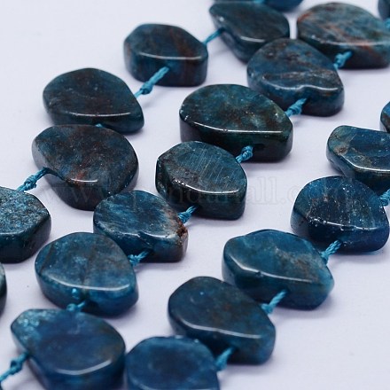 Natural Apatite Beads Strands G-F566-36-1