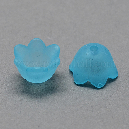 Transparent Acrylic Beads FACR-R017-08-1