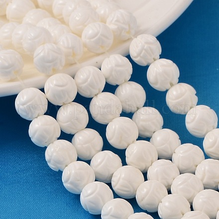 Shell normal de perles blanches de brins BSHE-E002-01-10mm-1