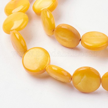 Eau douce naturelle de coquillage perles brins BSHE-L036-33A-1