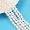 Natural Cultured Freshwater Pearl Beads Strands, Two Sides Polished, Grade 6A, Seashell Color, 7~8mm, Hole: 0.6mm, about 36~37pcs/strand, 13.54~13.82''(34.4~35.1cm)