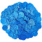 PVC Paillette/Sequin Pendants, Flat Round, Blue, 19.5x0.3mm, Hole: 1.5mm, about 454pcs/500g