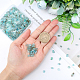 OLYCRAFT Natural Apatite Chip Beads Strands 3~5mm Apatite Pre Drilled Crystal Crushed Chips Beads Undyed DIY Handmade Natural Healing Crystals for Bracelets Making G-OC0002-98-3