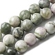 Chapelets de perles de jade paix naturelle G-E598-04B-1