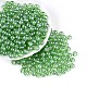 Прозрачное стекло Бисер SEED-N007-33B-07-1