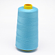 Fil à coudre 100% fibre de polyester filée OCOR-O004-A47-1