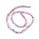 Natural Freshwater Shell Dyed Beads Strands SHEL-M018-13-10-2