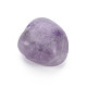 Natural Amethyst Beads G-S282-42-3