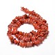 Dyed Natural Carnelian Chip Beads Strands G-E271-74-2