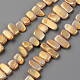 Spray Painted Natural Freshwater Shell Beads Strands SHEL-S276-89E-1