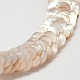 Natural Sea Shell Beaded Necklaces NJEW-L096-13B-2