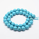 Synthetic Turquoise Bead Strands G-G736-32-12mm-2