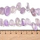 Natürlichen Amethyst Perlen Stränge&nbsp;G-P604-A08-01-3