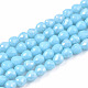 Chapelets de perles en verre opaques EGLA-T008-16D-1