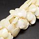 Fili di perle di conchiglia trochid naturale / trochus SSHEL-K012-02-1