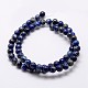 Natural Lapis Lazuli Beads Strands X-G-A163-07-8mm-2