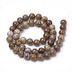 Chapelets de perles en bois pétrifié naturel G-Q462-136-10mm-2
